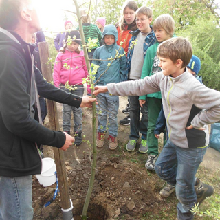 baumpflanzung_2 Montessori-Schulzentrum Leipzig - Neuigkeiten Grundschule 2014 - Ein neuer Baum für den Schulhof