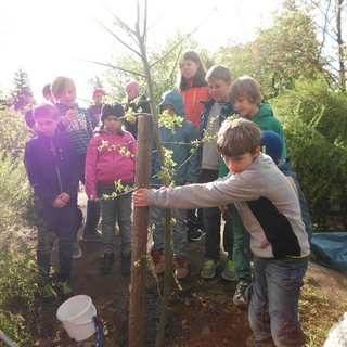 baumpflanzung_3 Montessori-Schulzentrum Leipzig - Neuigkeiten Grundschule 2014 - Ein neuer Baum für den Schulhof