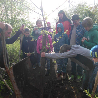 baumpflanzung_4 Montessori-Schulzentrum Leipzig - Neuigkeiten Grundschule 2014 - Ein neuer Baum für den Schulhof