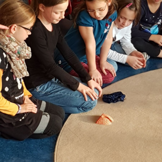 projektdgf_mu_06 Montessori-Schulzentrum Leipzig - Neuigkeiten Grundschule - Alles und alle im großen Fluss
