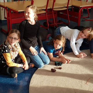 projektdgf_mu_10 Montessori-Schulzentrum Leipzig - Neuigkeiten Grundschule - Alles und alle im großen Fluss