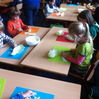 ktzchenkochen_03 Montessori-Schulzentrum Leipzig - Neuigkeiten Grundschule - Kätzchen kochen?