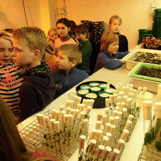 robbenex12 Montessori-Schulzentrum Leipzig - Neuigkeiten Grundschule 2013 - Lasst uns ausfliegen!