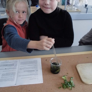 robbenex4 Montessori-Schulzentrum Leipzig - Neuigkeiten Grundschule 2013 - Lasst uns ausfliegen!